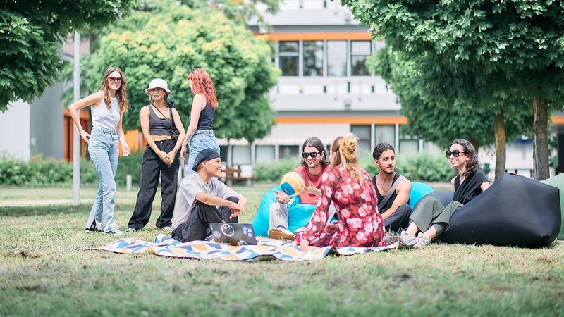 Studierende sitzen entspannt auf Decken im Gras und unterhalten sich