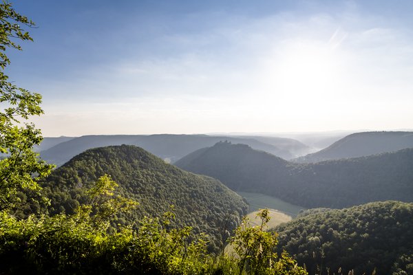 Waldlandschaft auf der Schwäbischen Alb im Sommer